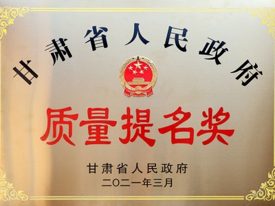 政府質(zhì)量獎